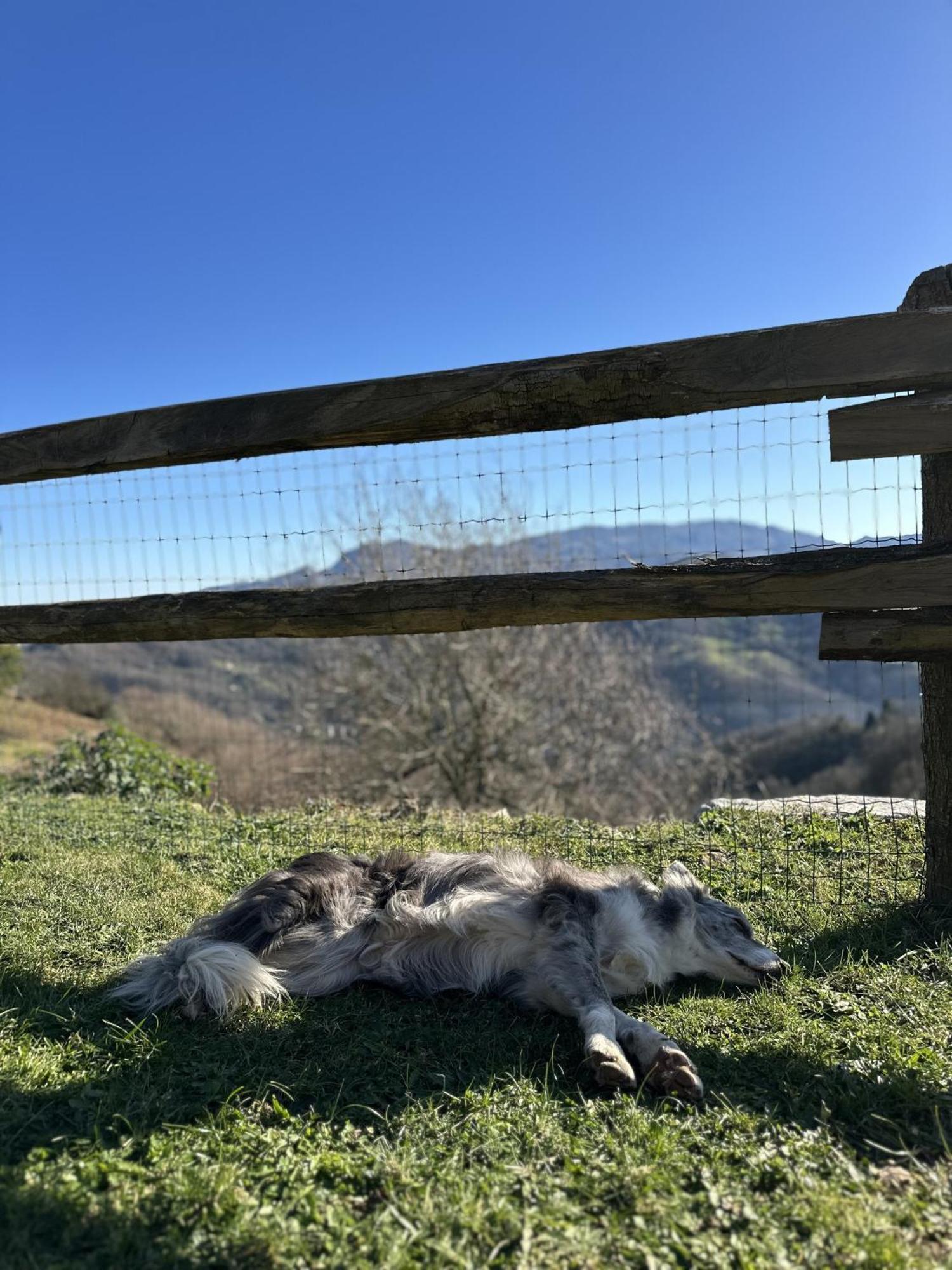 Almastur Rural Villa Siero Eksteriør bilde